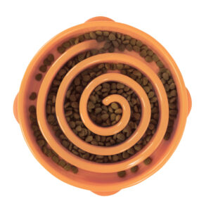 Outward Hound Slow Bowl fun feeder coral