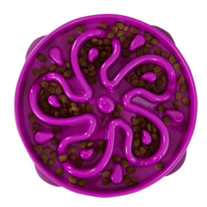 Outward Hound Slow Bowl Fun Feeder Flower