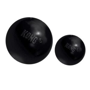 Kong ball extreme