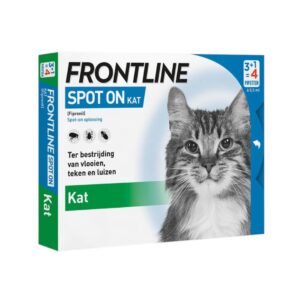 Frontline spot on kat