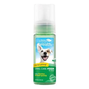 Tropiclean fresh mint foam 133ml