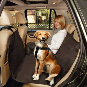 Beschermhoes voor achterbank