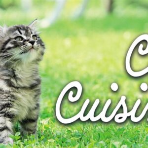 Cat Cuisine