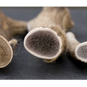 Hertengewei, hoorn of hout