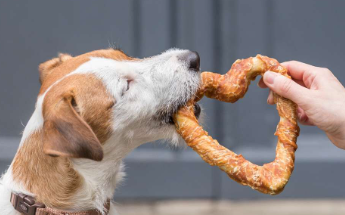 Kip/eend filet &  wraps