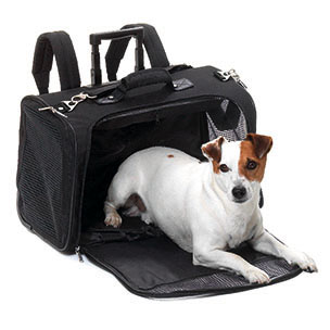 Draagtassen, trolley's en buggy's