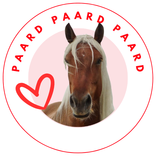 Categorie paard