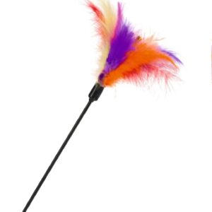Hengel gekleurde veren