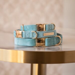 Floofs and Cookies minty mobi