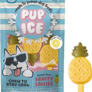 Pup ice ananas - 3 stuks