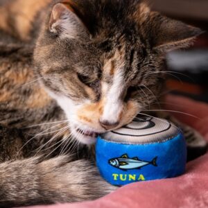 H&K kittybelles Can O Tuna