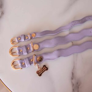 Floofs and Cookies Wavy maggy