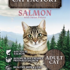 Catfactory adult salmon 2 kg