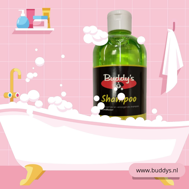 Buddy's shampoo met conditioner appel 500 ml