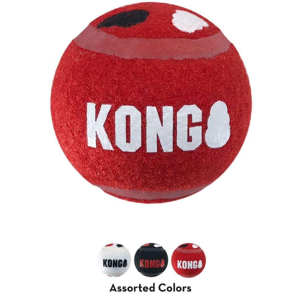 Kong signature sport bal small