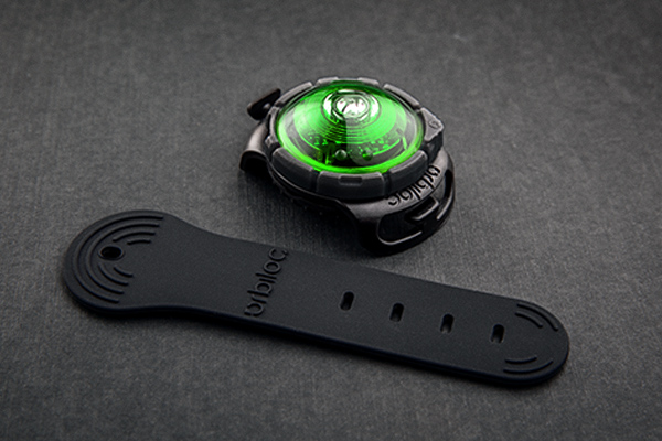 Orbiloc Dog Dual Green