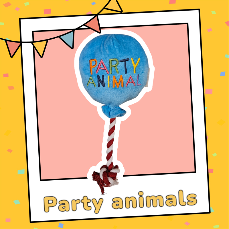 Party animal ballon hondenknuffel