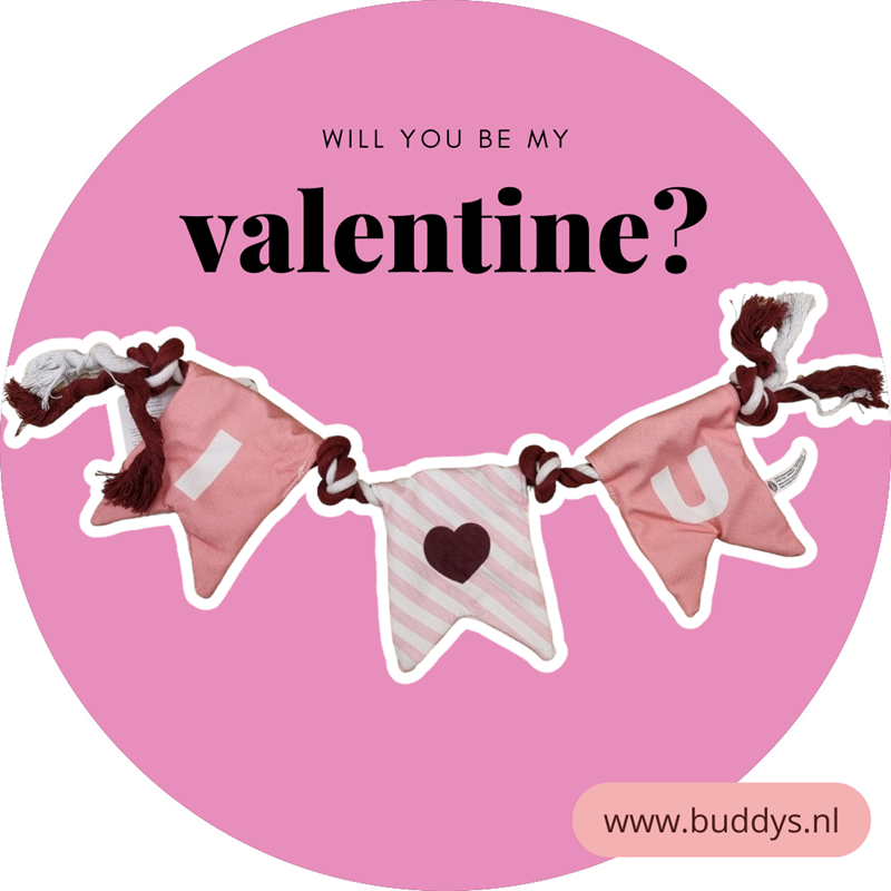 Valentijn flos slinger 