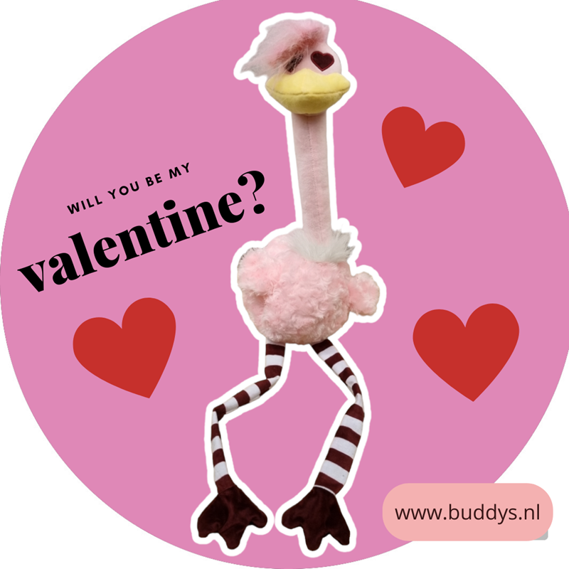 Valentijn grote struisvogel