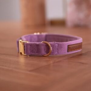 Floofs and Cookies Velvy lavie