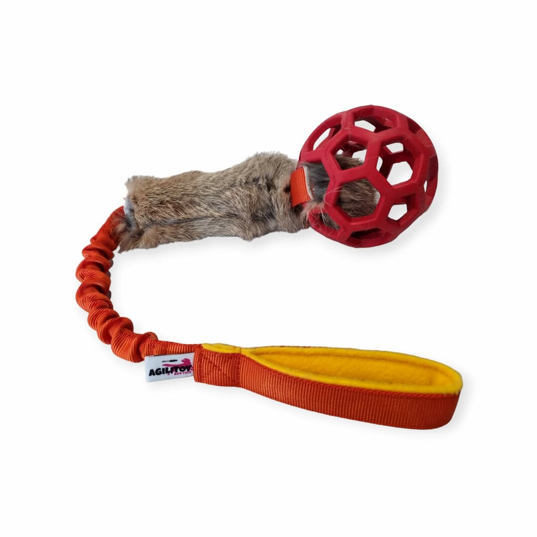 Agilitoy chucktug air rabbit (jw)