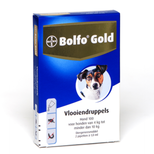 Bolfo gold hond 100