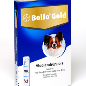 Bolfo gold hond 40