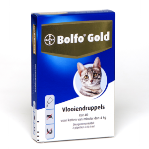 Bolfo gold kat 40