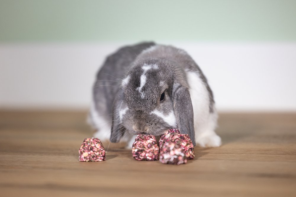 Beeztees Cones – Knaagdiersnack – Wortel en Mais – 10 st