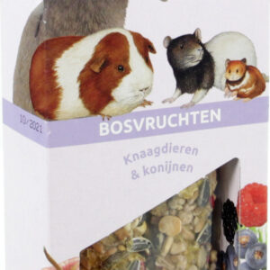 Esve knaagdiersticks bosvruchten 2 stuks