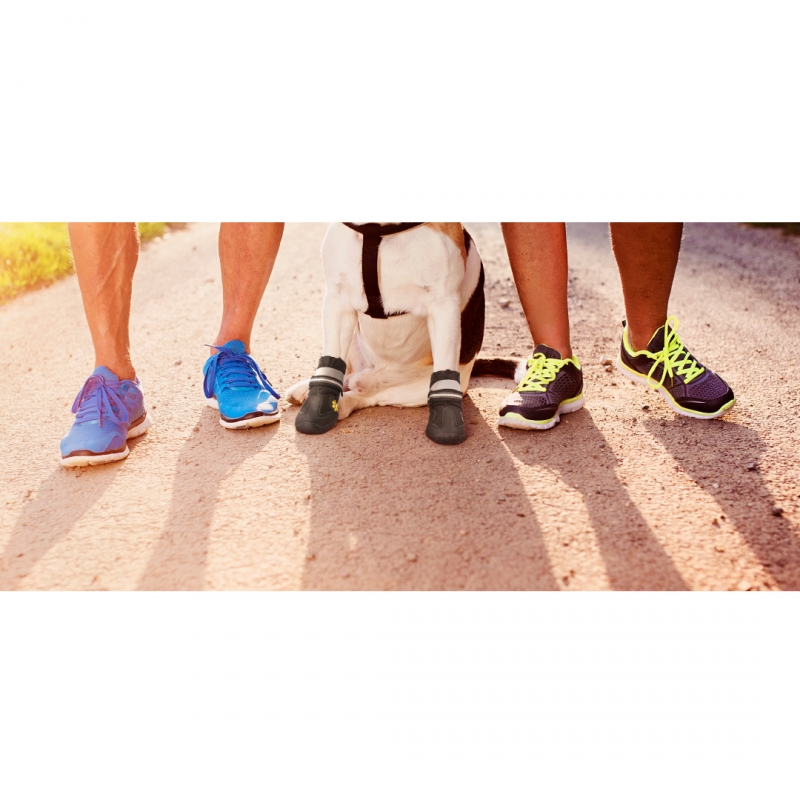 Hondenschoenen 2 stuks