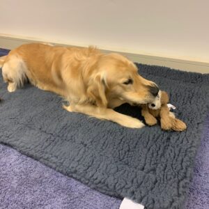 HuggleHounds fleecemat grijs