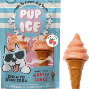 Pup ice ijshoorntje - 2 stuks