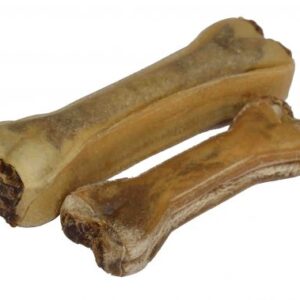 Kauwbeen kamalaboom 12 cm