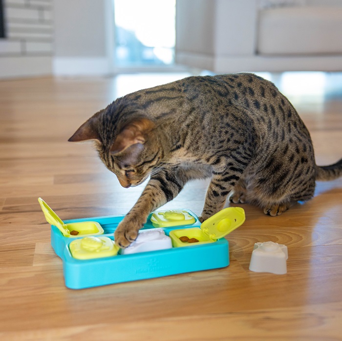 Nina Ottosson Kitty cube puzzle