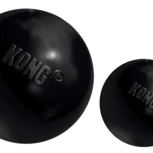 Kong ball extreme