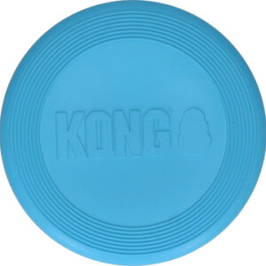 Kong frisbee puppy