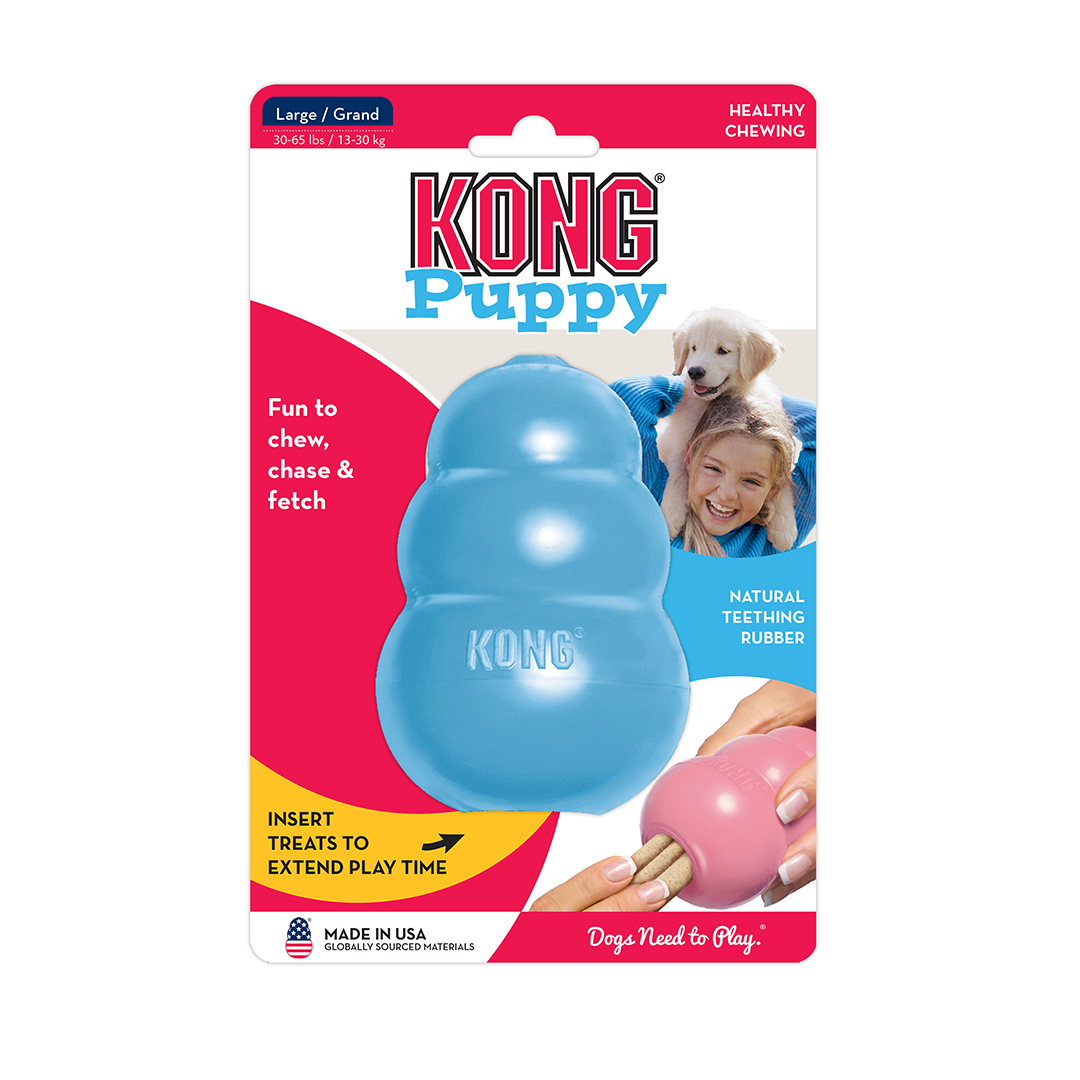 Kong puppy
