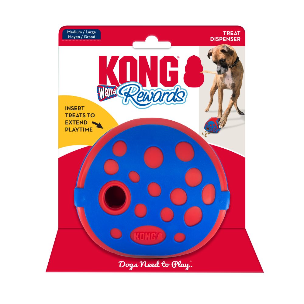 Kong reward wally