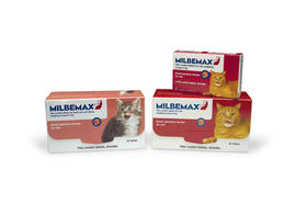 Milbemax kleine kat / kitten 2 tabletten