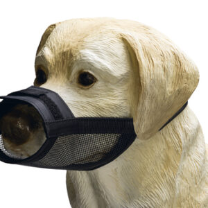 Muilband verstelbaar