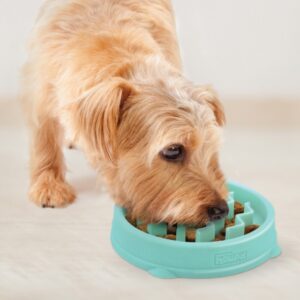 Outward Hound fun feeder wave mint XS