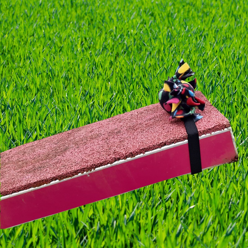 Paws Made™ Candy Catch Diver Package diver + Candy catch