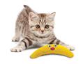 Petstages boomerang buddy