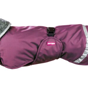 Pomppa hondenjas Perus