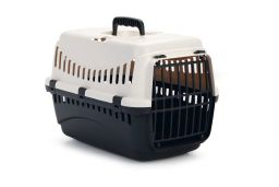 Katten reismand gypsy