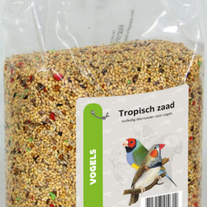 Tropisch zaad 1kg