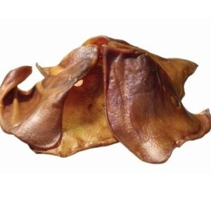 Varkensoren 100 stuks