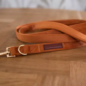 Floofs and Cookies Velvy coco leash