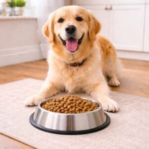 Diverse honden eet en drinkbakken